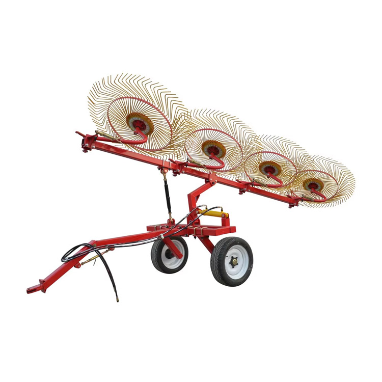 Rota Haius Rakes